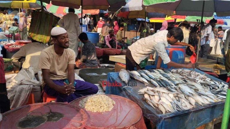 মহাসড়ক দখল করে রমরমা মাছের ব্যবসা!